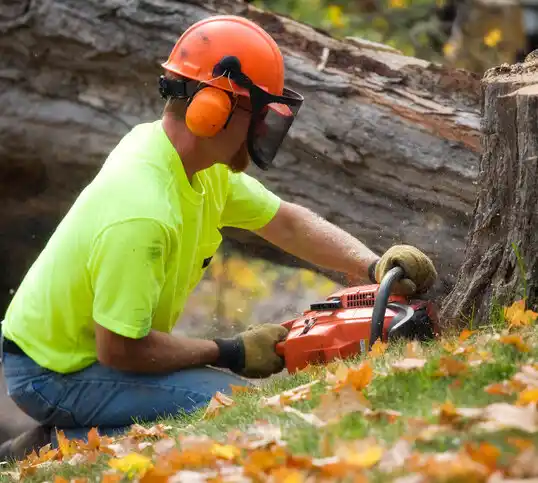 tree services Egan